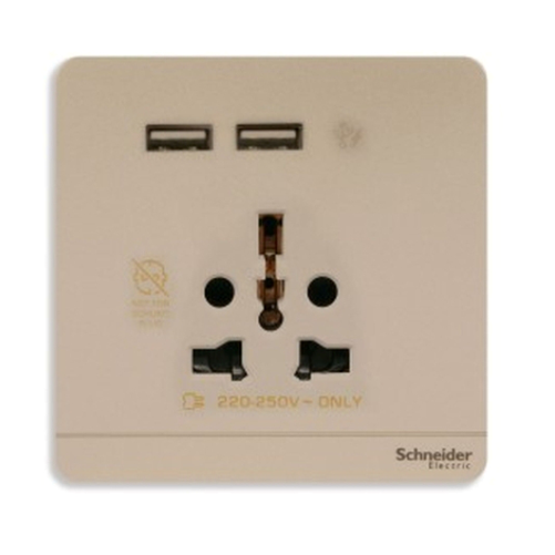 USB Charger AvatarOn Schneider E8342616USB_WG industry shop