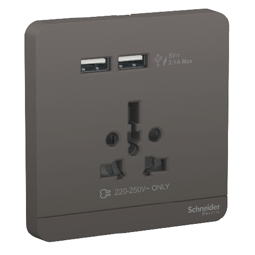 USB Charger AvatarOn Schneider E8342616USB_DG