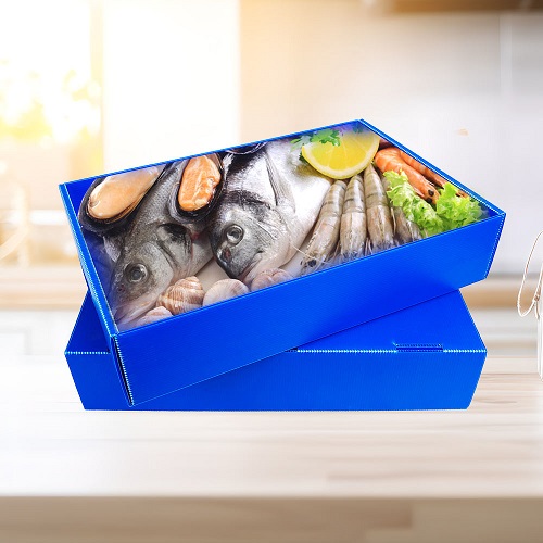Box Seafood Foodgrade