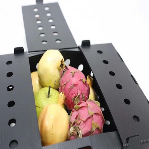 Packaging Buah dan Sayuran Impraboard