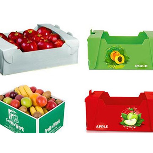 Box Custom Distribusi Buah dan Sayur PP Impraboard