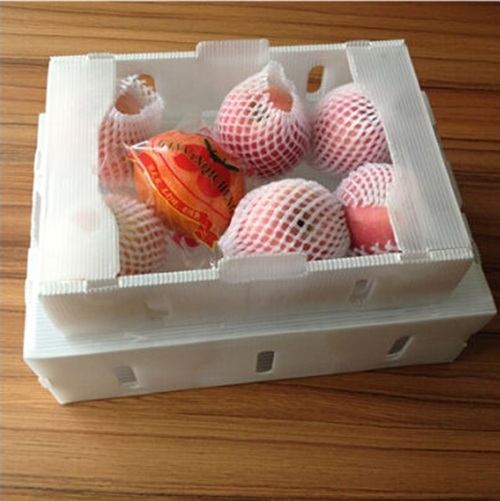 Box Logistik Distributor Buah dan Sayur