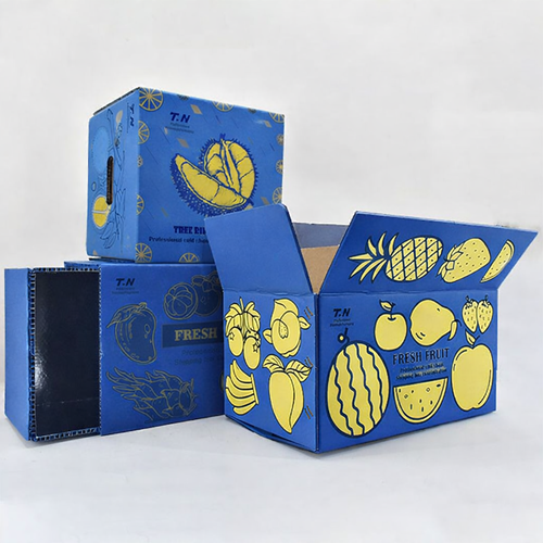 Box Pendingin Buah & Sayur PP Impraboard