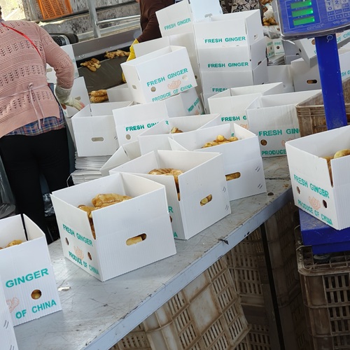 Custom Box Export Jahe Bahan Impraboard