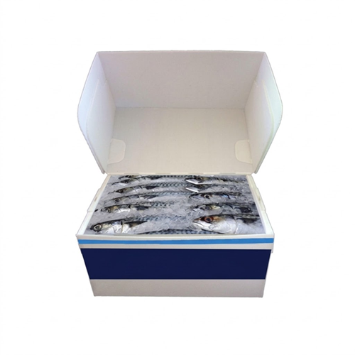 Custom Iced Cool Box Bahan Impraboard