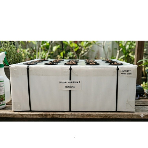 Box Hidroponik Bahan Corrugated Plastic