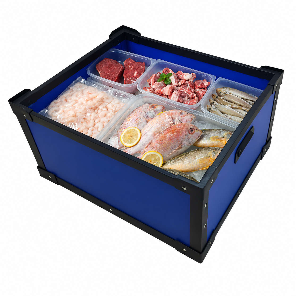 Box Frozen Food untuk Buah, Ikan, dan Sayuran Tahan Lembap Bahan PP Board Impraboard