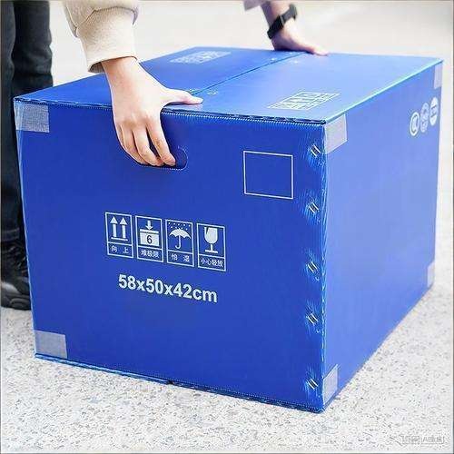 Box Storage Multifungsi Tahan Lembap