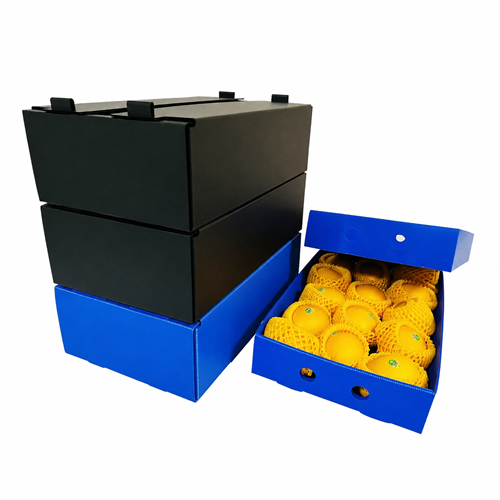 Box Impraboard untuk Kemasan Buah Premium