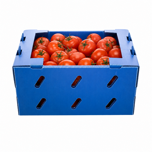 Box Tomat Tahan Dingin Bahan Impraboard
